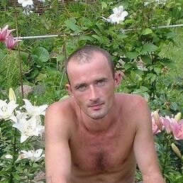  ,   , 46 ,   ,   , c 