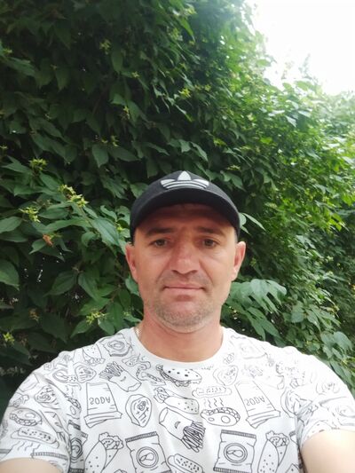  ,   , 43 ,   
