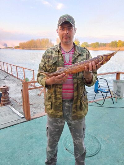  ,   Maks, 47 ,   