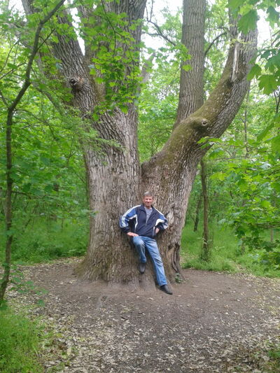  ,   , 66 ,   ,   , c , 