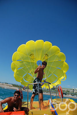  3811994  , 42 ,    Alanya