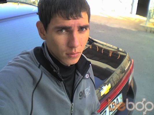  2347874  FOX337, 43 ,    