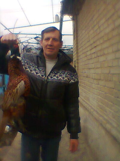  ,   , 53 ,   