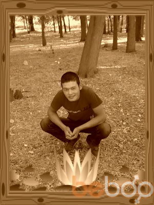  ,   Lovelistru, 33 ,   
