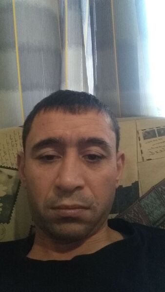 -,   , 43 ,   ,   
