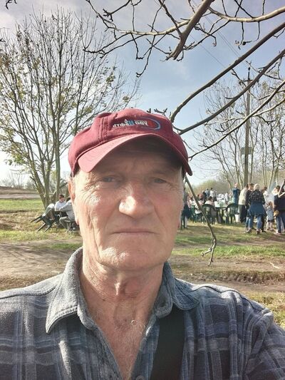  ,   , 62 ,   ,   