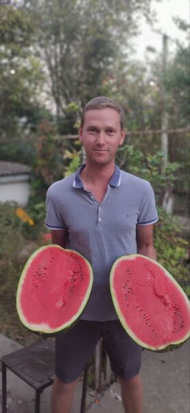  ,   Ivan, 31 ,   ,   