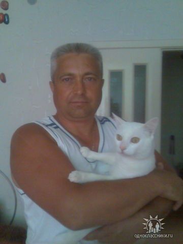  ,   , 58 ,   ,   , c 