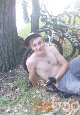  ,   VitDi, 34 ,   