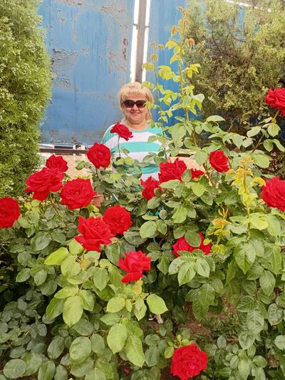  ,   , 61 ,  