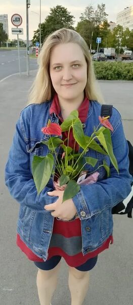  -,   , 24 ,   ,   