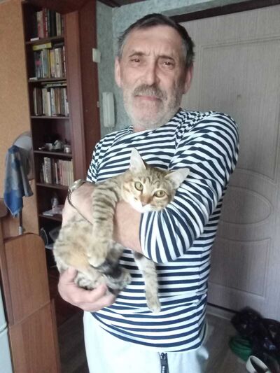  ,   , 62 ,   ,   
