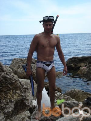  ,   Gans, 39 ,   