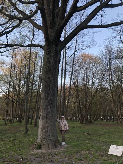  ,   Yana, 43 ,   ,   , c 