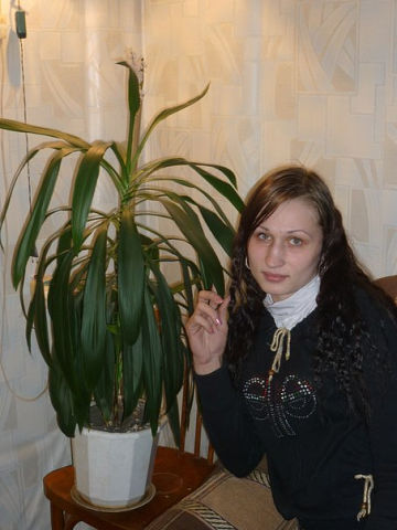  ,   , 31 ,   c 