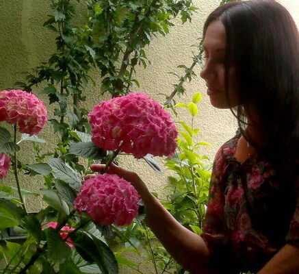  ,   ery, 49 ,     , c 