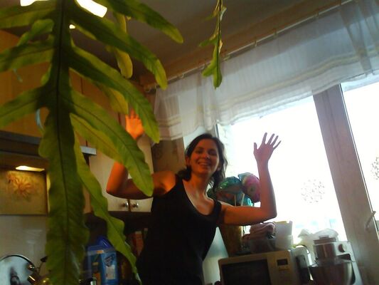  -,   Nata, 42 ,     , c 