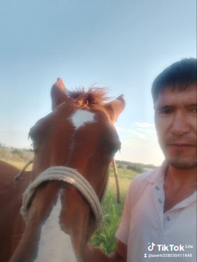  ,   , 41 ,   c 