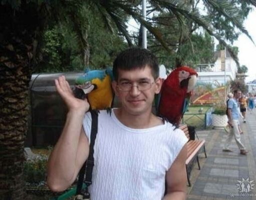   ,   Dmitriy, 39 ,   ,   , c 
