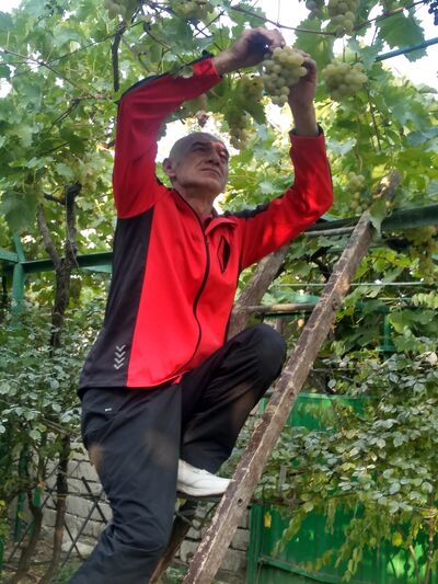  ,   Zaza, 51 ,   ,   