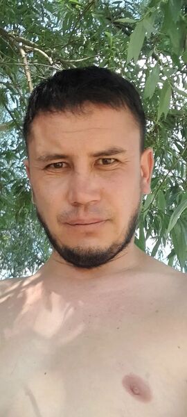  ,   , 37 ,     , c 