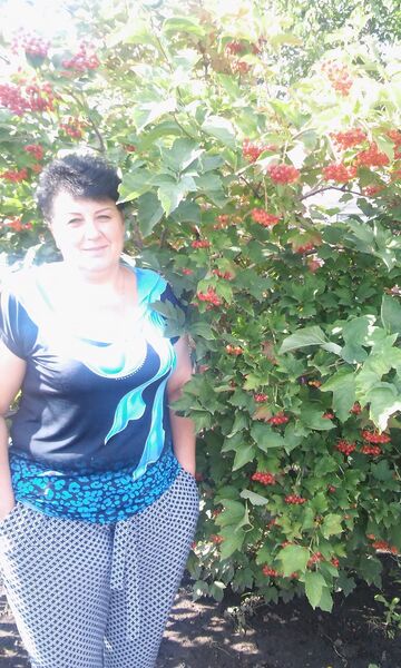  ,   , 58 ,     , c 