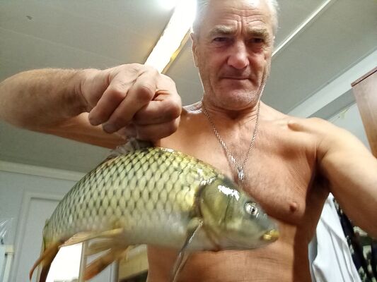  ,   , 70 ,   c , 
