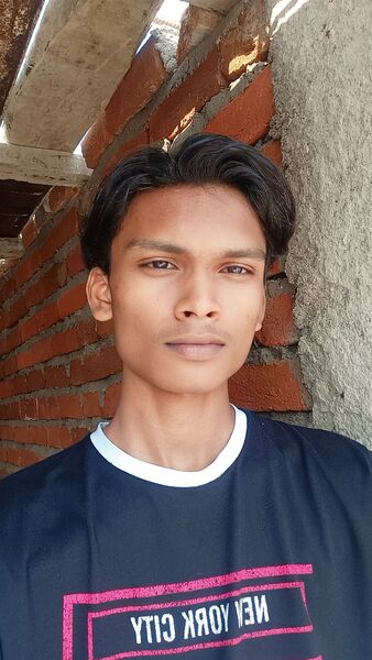  Bhopal,   Mithlesh, 22 ,   ,   