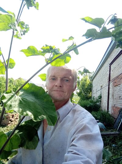  ,   , 51 ,   ,   