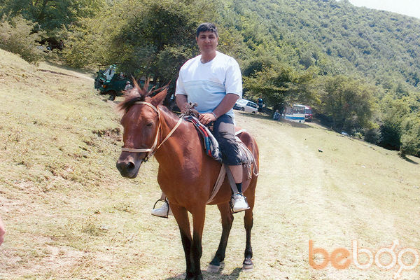  ,   Niko, 44 ,   