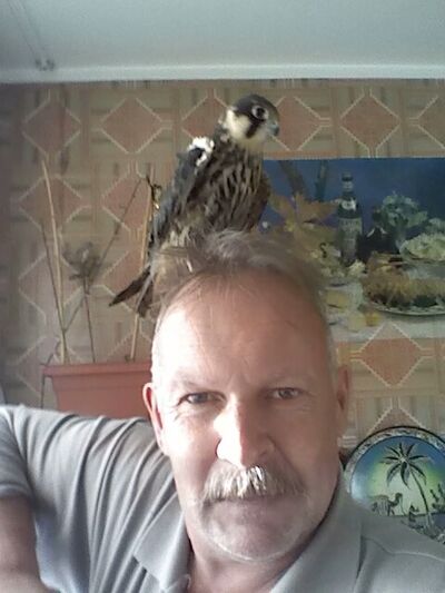  ,   , 61 ,   ,   , c 