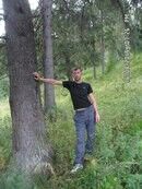  -,   , 41 ,   ,   , c 