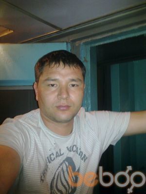  3361464  Meder, 44 ,    