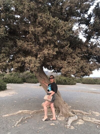  Vaxjo,   , 55 ,     , c 