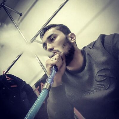  ,   Mash, 31 ,   ,   , c 