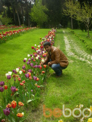  ,   Shemsi, 37 ,   