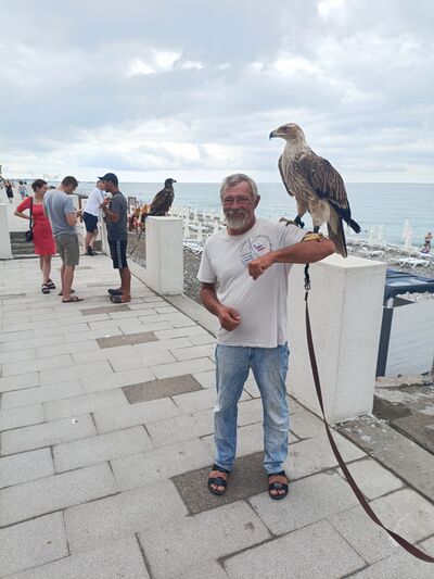  deleted,   , 55 ,   ,   
