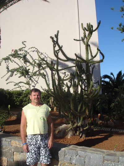  ,   Serz druchba, 57 ,   ,   , c 