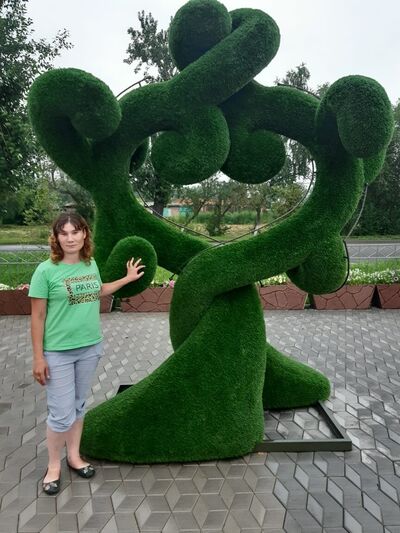  ,   , 41 ,   ,   