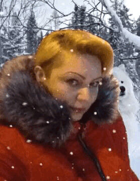  ,   Aliona, 48 ,   ,   , c 