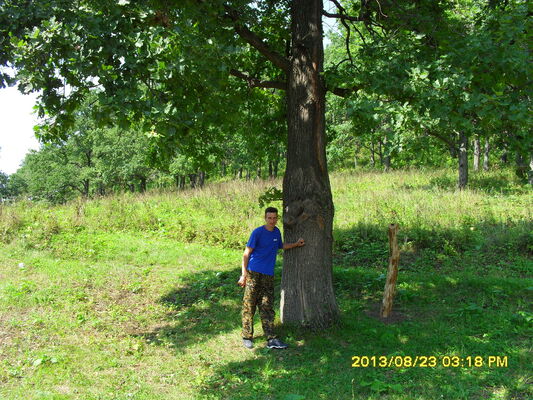  ,   Aleks, 48 ,  
