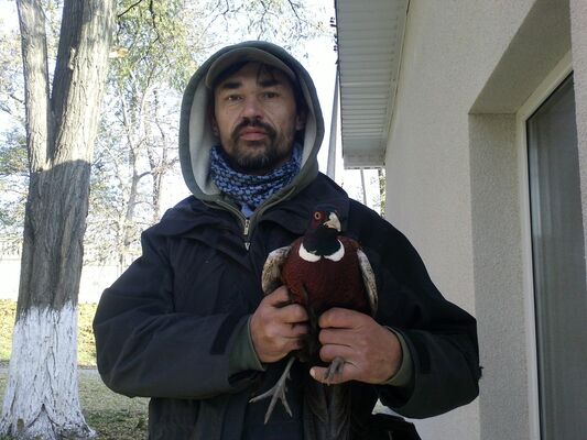  ,   Jorj, 49 ,     , c 