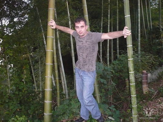  ,   SMITT, 47 ,   ,   , c 