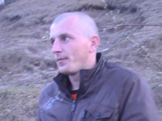  ,   , 41 ,   