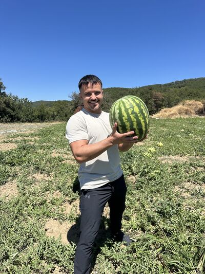  ,   , 28 ,   ,   , c , 