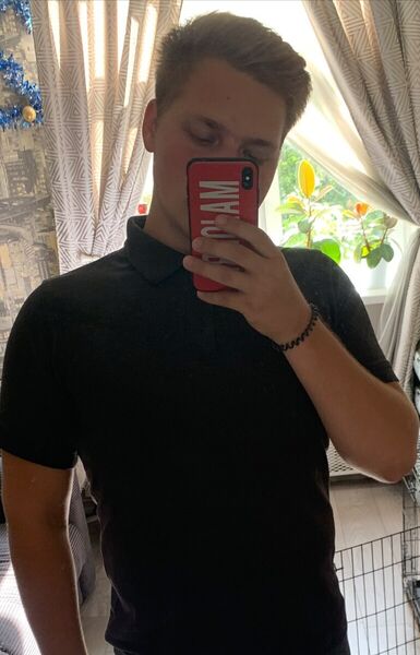  ,   Dingo, 23 ,   ,   , c 