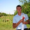 ,  Vitos, 34