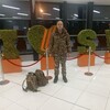  ,  , 37