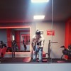   Halit