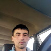   Sardor